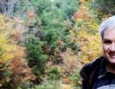 niggi header